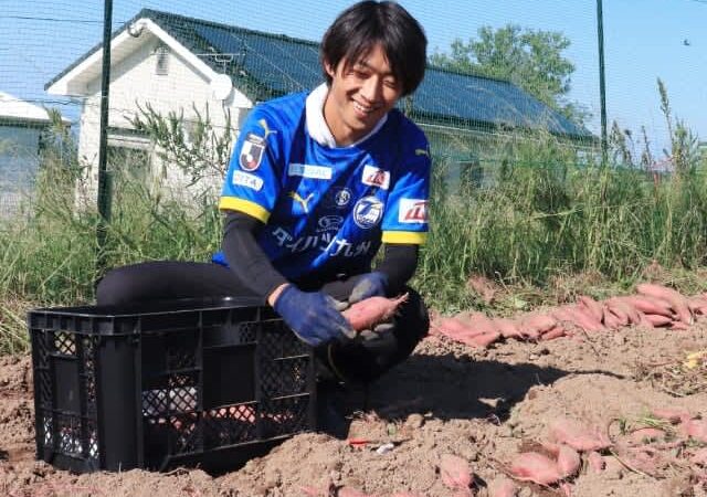 トリニータCROの松本怜さんが農業に挑戦　サツマイモ収穫、開幕戦で焼き芋販売へ準備【大分県】