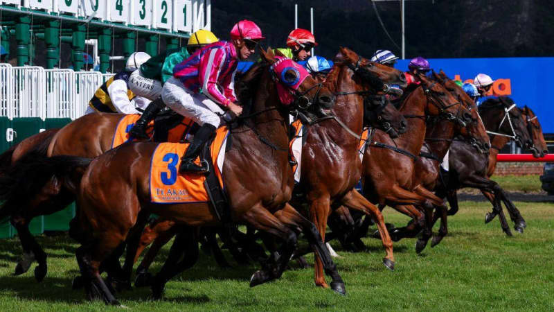 元日本代表FWが驚愕の告白「競馬で1億円以上負けた」