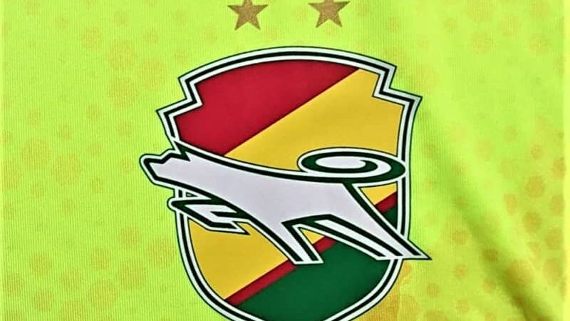 【ジェフ千葉】GKホセ・アウレリオ・スアレスを獲得。昨季まで徳島の守護神として活躍