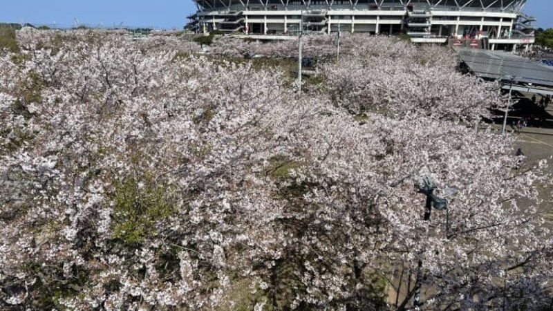 【鹿島】カシマスタジアムの飲食店のコップ素材をプラスチックから紙に変更