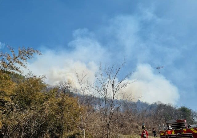 韓国・忠北の山火事、80代が容疑認める…「手が冷たくなって雑草に火を付けた」